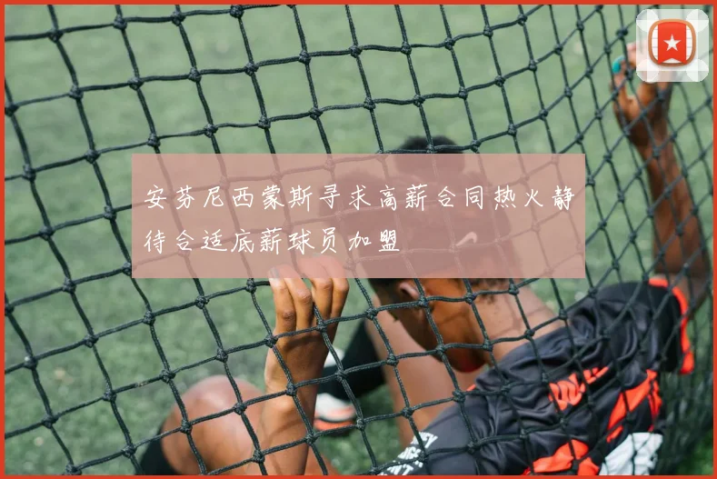 安芬尼西蒙斯寻求高薪合同热火静待合适底薪球员加盟