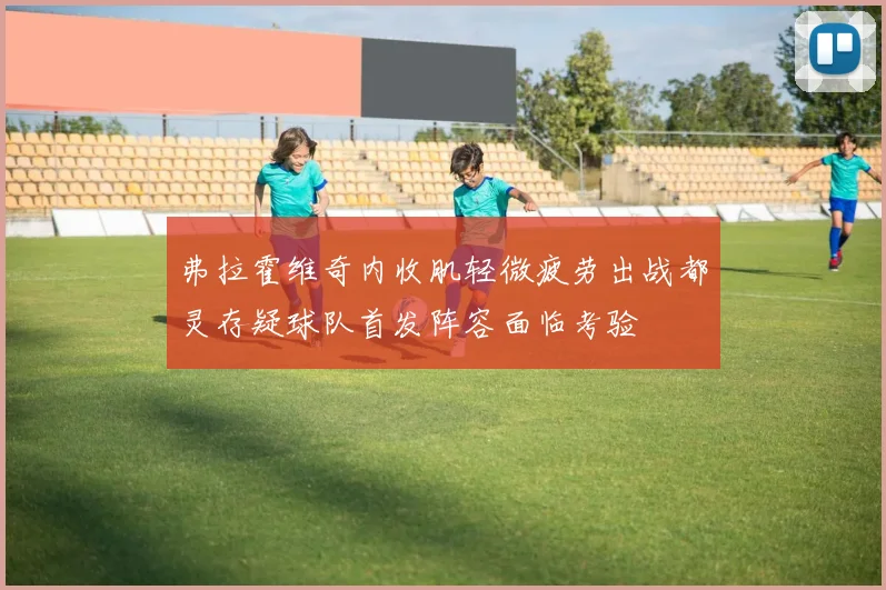 弗拉霍维奇内收肌轻微疲劳出战都灵存疑球队首发阵容面临考验