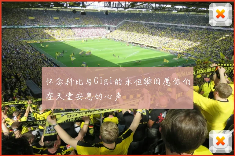 怀念科比与Gigi的永恒瞬间愿你们在天堂安息的心声